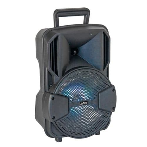 Haut-parleur Audio Professionnel avec Micro et Télécommande 2000W