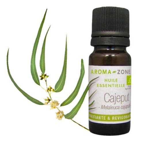 Huile Essentielle de Cajeput BIO, Revigorante & Purifiante, 10ml